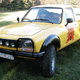 Illustration for article titled Live a Life of Dangel With a Peugeot 4X4!